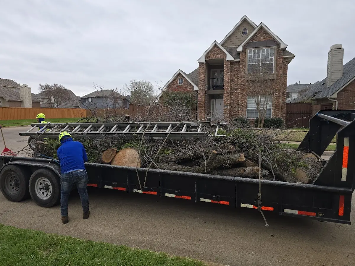 Expert Tree Fertilization with proper safety equipment in Sunflower